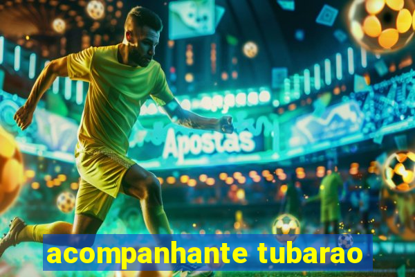 acompanhante tubarao